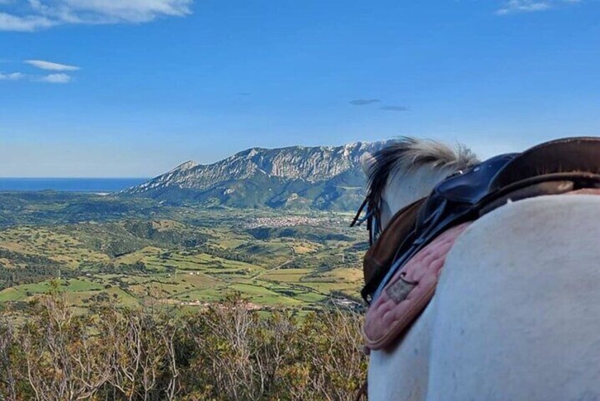Horse Riding to Beach in Orosei