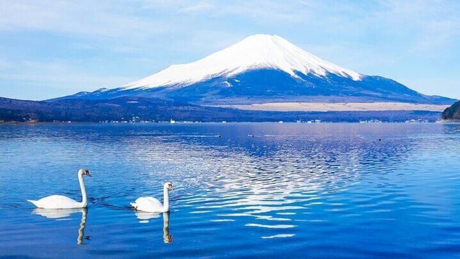 Full Day Tour at Mt. Fuji, Onsen, Lake Kawaguchi and Yamanaka
