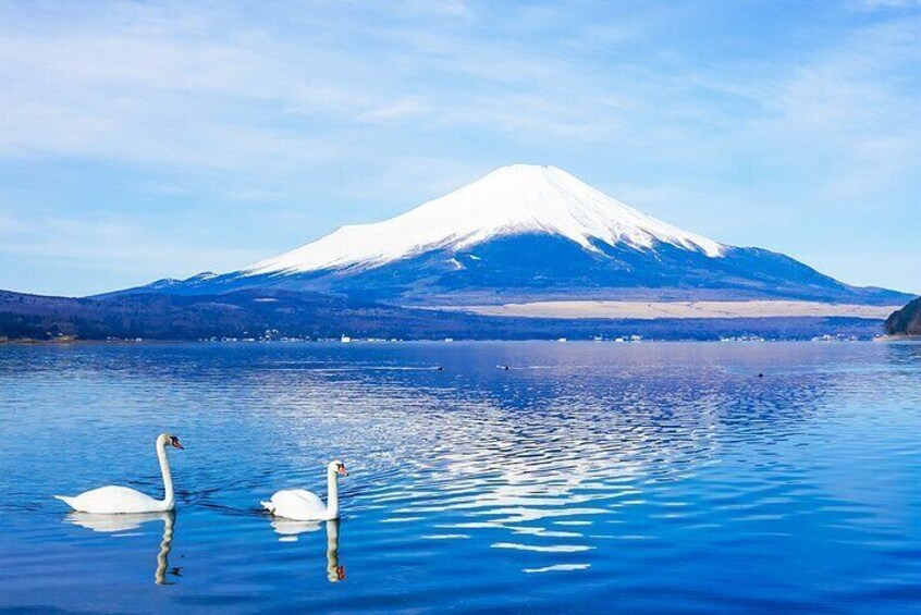 Full Day Tour at Mt. Fuji, Onsen, Lake Kawaguchi and Yamanaka