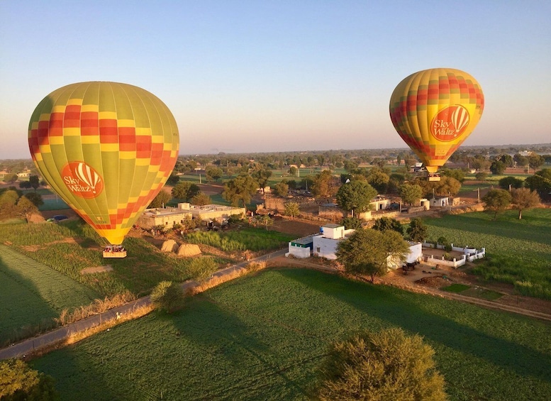 Jaipur: SkyWaltz Hot Air Balloon Safari