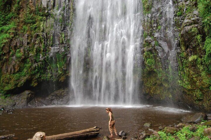 Private Materuni Waterfalls, Coffee Tour and Kikuletwa Hot Spring