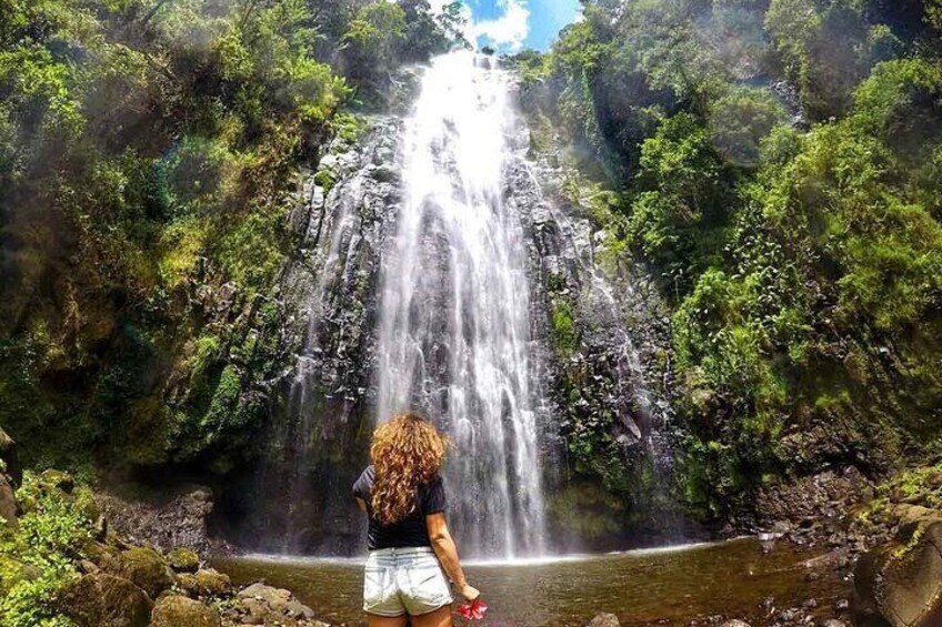 Private Materuni Waterfalls, Coffee Tour and Kikuletwa Hot Spring