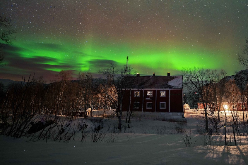 Picture 4 for Activity From Narvik: The Northern Lights Arctic Train Guided Tour