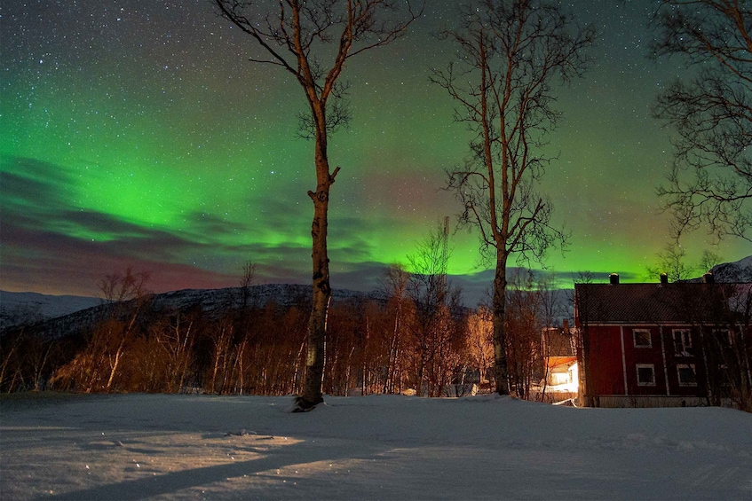 Picture 1 for Activity From Narvik: The Northern Lights Arctic Train Guided Tour