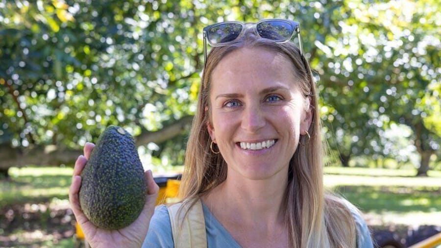 Katikati Gourmet Avocado Tasting