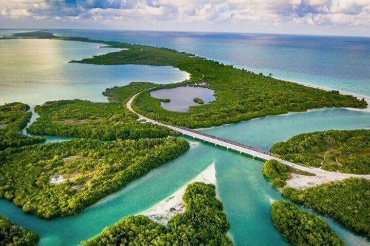 Tulum Sian Ka’an Adventure : Dolphins, Turtles & Punta Allen