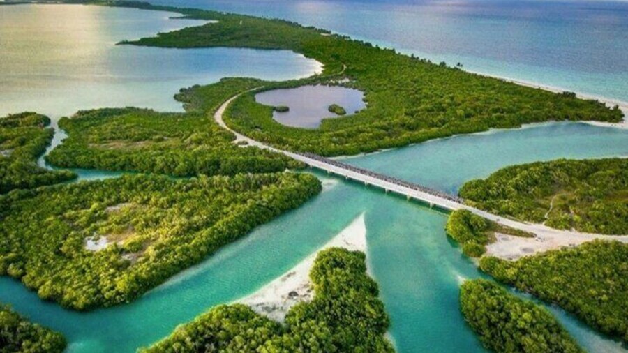 Tulum Sian Kaâan Adventure : Dolphins, Turtles & Punta Allen