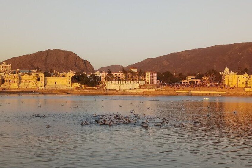 Jaipur to Pushkar: Guided Private Day Trip in a Comfortable Car