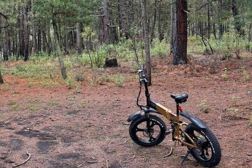 Private Electric Bike Activity in Izta Popo Park