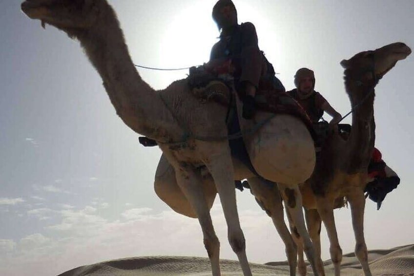 3 days in the desert on the back of a dromedary