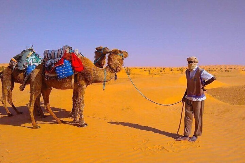 3 days in the desert on the back of a dromedary