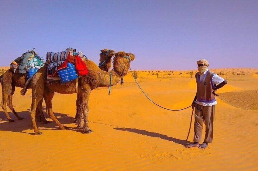 3 days in the desert on the back of a dromedary