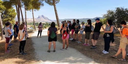 Antequera : Dolmen Guided private walking tour