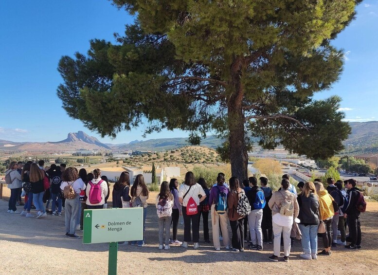 Picture 4 for Activity Antequera : Dolmen Guided private walking tour