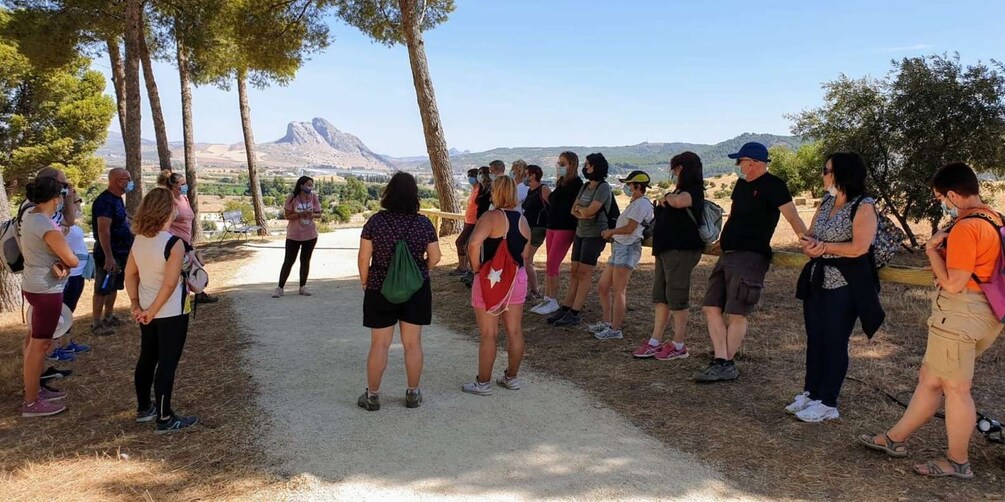 Antequera : Dolmen Guided private walking tour