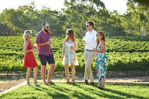 Vineyard & Winery Tours