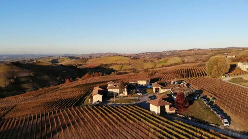 Best of Monforte d'Alba: Wine Tasting & Traditional Meal