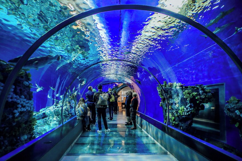 Alcatraz Night Tour with Aquarium + Muir Woods with Napa & Sonoma Wine Tour