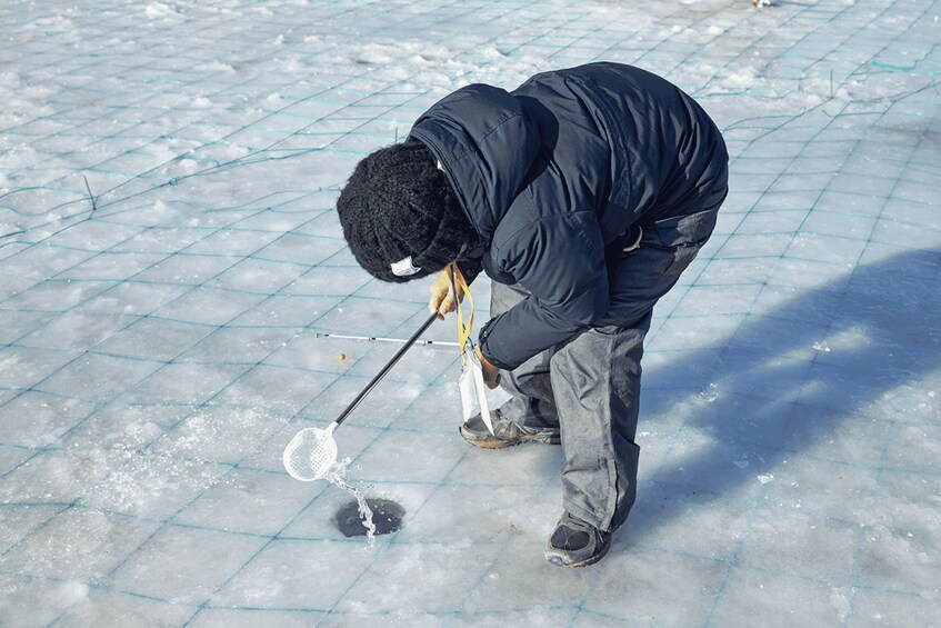 Picture 5 for Activity From Seoul: Pyeongchang Trout Festival