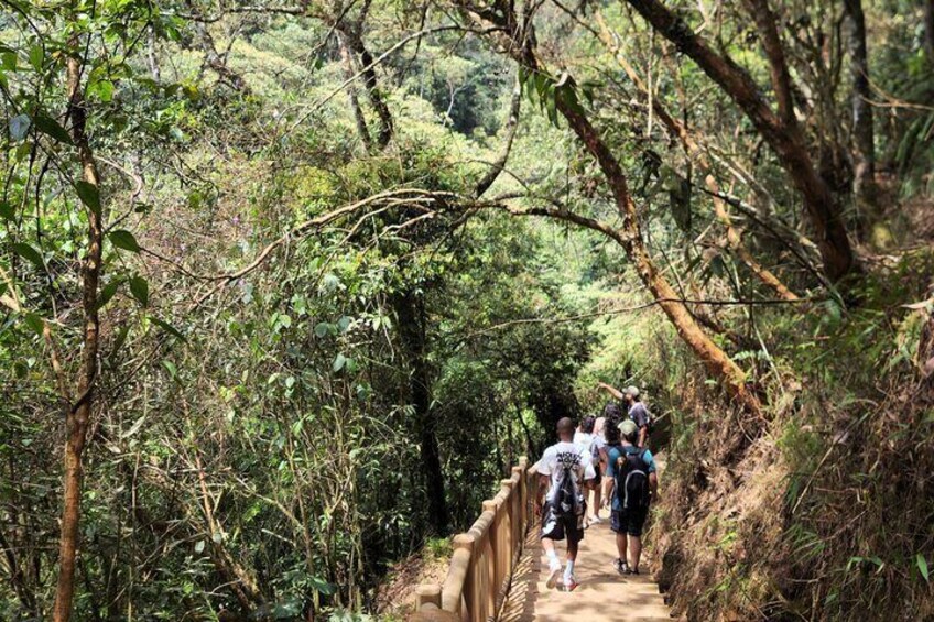 SECRET WATERFALL HIKE TOUR - ULTRA TOURS MEDELIN