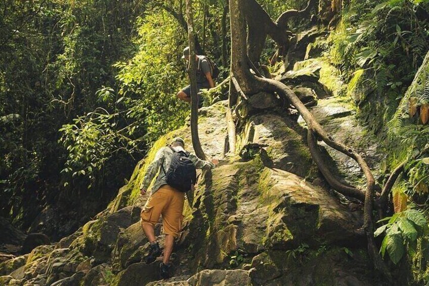 SECRET WATERFALL HIKE TOUR - ULTRA TOURS MEDELIN