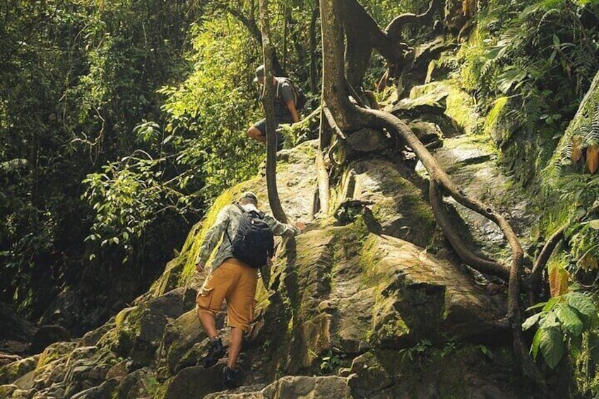 SECRET WATERFALL HIKE TOUR - ULTRA TOURS MEDELIN