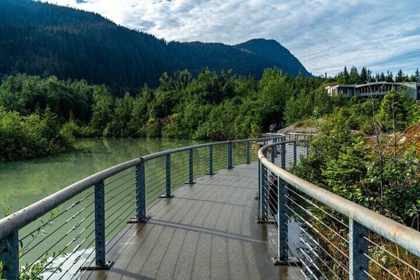 Walking trails around the Visitor's Center. 