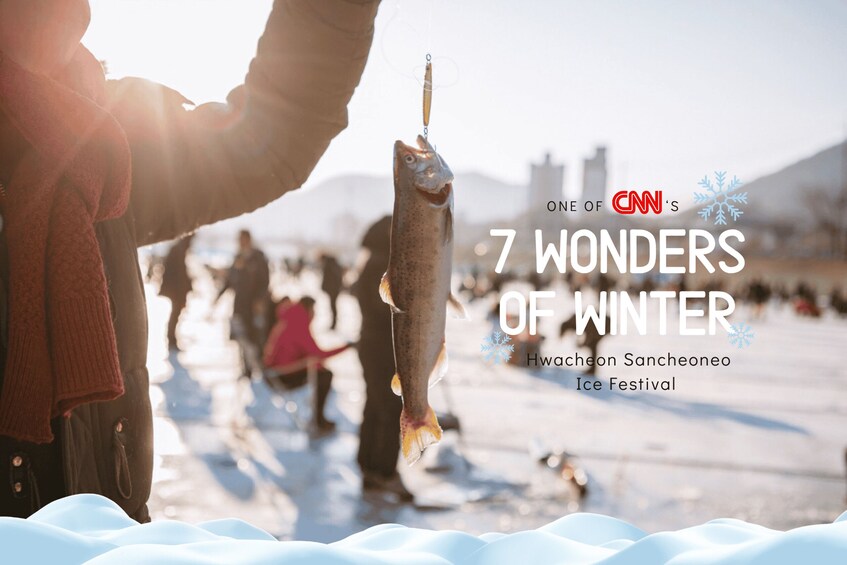 From Seoul: Hwacheon Ice Fishing and Lighting Festival Tour