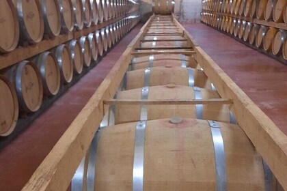 Bodega Tour XL Mallorca incl. 3x wine tasting pick up east coast