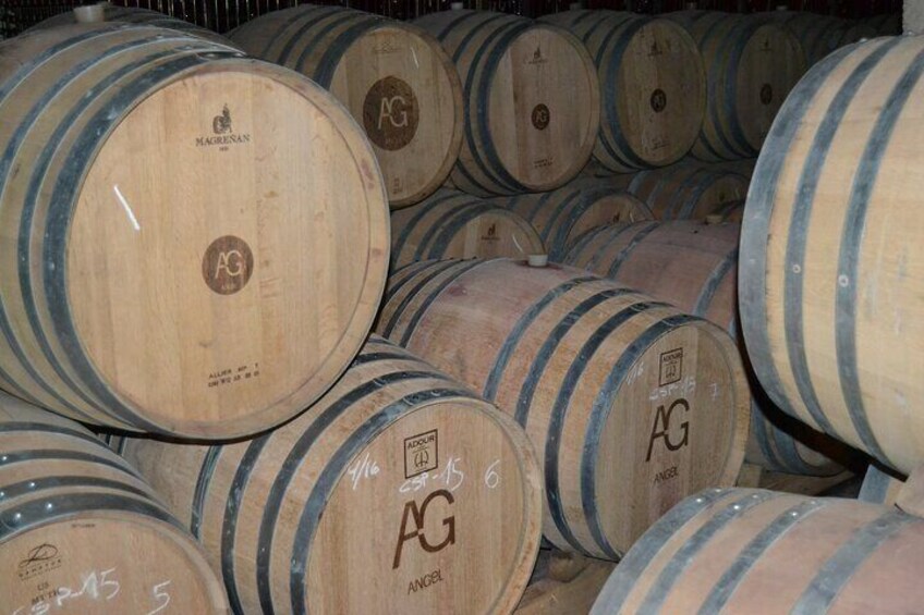 Bodega Tour XL Mallorca incl. 3x wine tasting pick up east coast