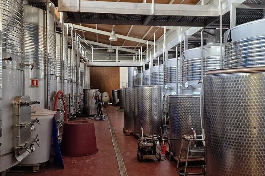 Bodega Tour XL Mallorca incl. 3x wine tasting pick up east coast
