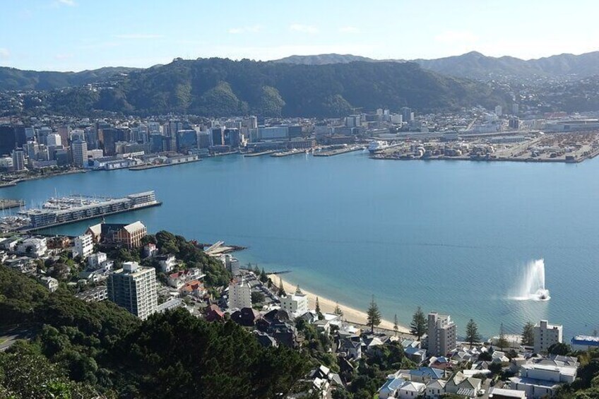 Discover Wellington 3 hour City Tour 