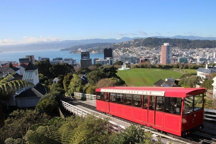 Discover Wellington 3 hour City Tour 