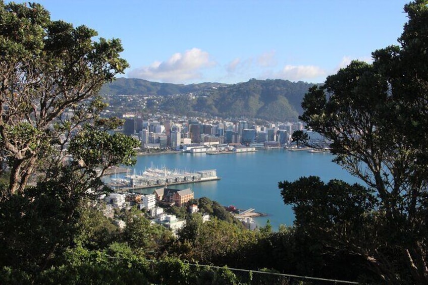 Discover Wellington 3 hour City Tour 