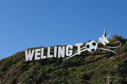 Discover Wellington 3 hour City Tour