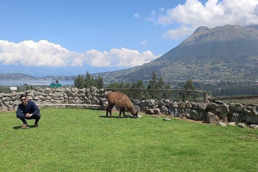 Otavalo Market Tour of Andean Culture and Indigenous Crafts