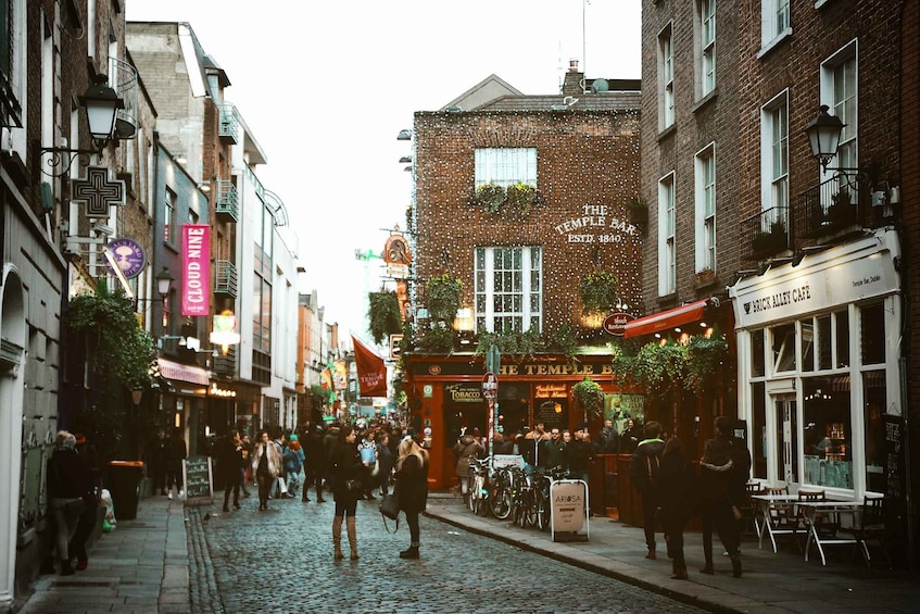 Picture 2 for Activity Dublin: Magic Christmas, Myths & Legends Private Guided Tour