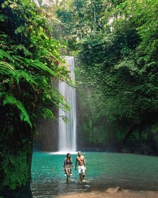 Ubud: Private Hidden Waterfalls and Rice Terrace Tour
