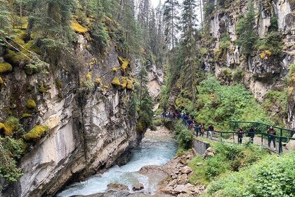 From Canmore Lake Louise Moraine Lake Johnston Canyon Banff Town