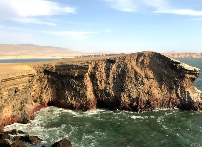 Picture 13 for Activity From Huacachina: Ballestas and Paracas Reserve - GROUP TOUR