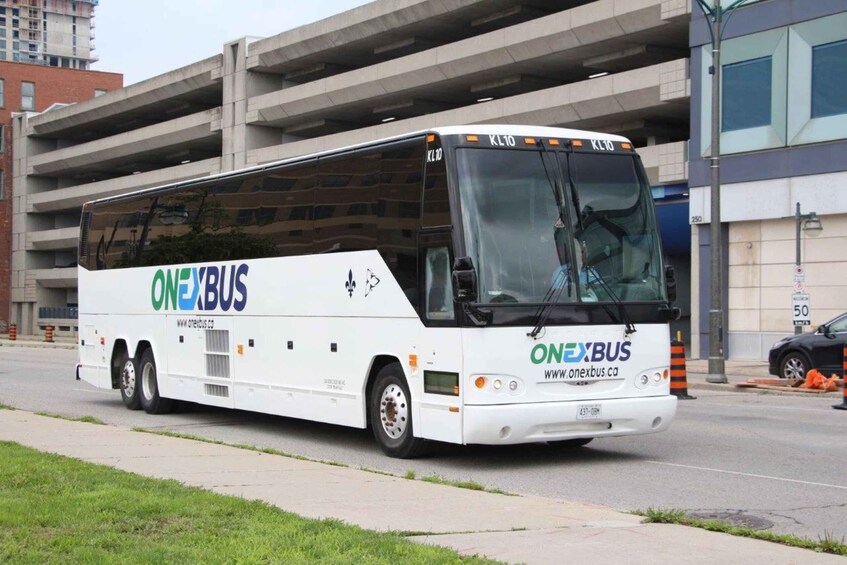 Picture 2 for Activity Toronto Pearson Airport: Direct bus from/to Brampton