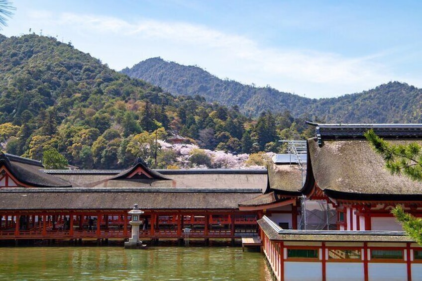 Hiroshima and Miyajima 1 Day Bus Tour from Osaka and Kyoto