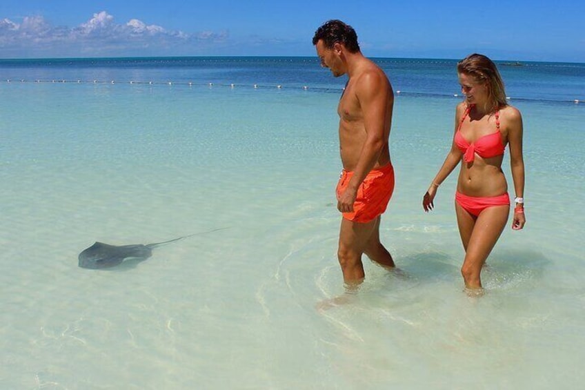Contoy Island Tour from Cancun and Isla Mujeres with Snorkeling