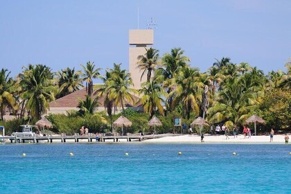 Contoy Island Tour from Cancun and Isla Mujeres with Snorkelling