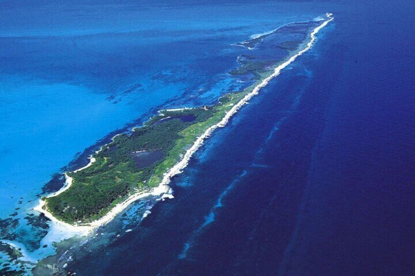 Contoy Island Tour from Cancun and Isla Mujeres with Snorkeling