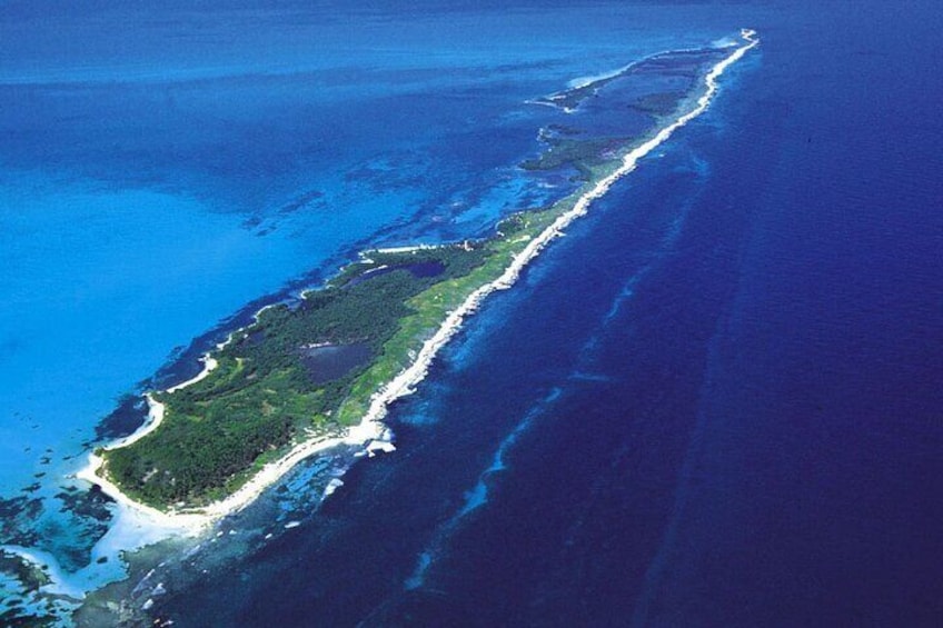 Contoy Island Tour from Cancun and Isla Mujeres with Snorkeling