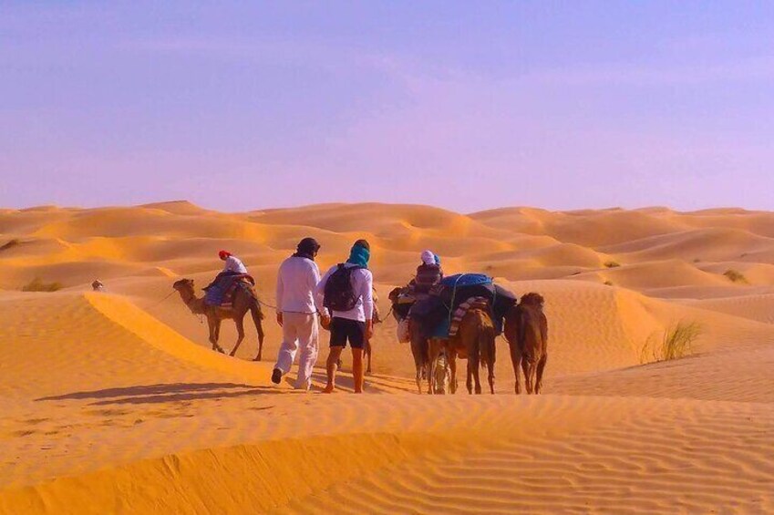 2 Days in the Desert on Camel Back