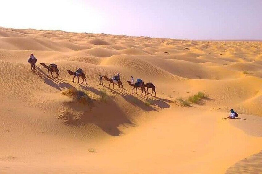 2 Days in the Desert on Camel Back