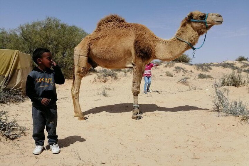 2 Days in the Desert on Camel Back