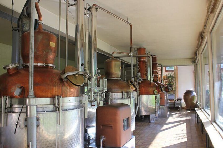 Visit to a Distillery in Gayire